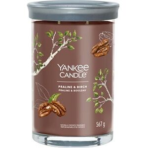 Yankee Candle Raumdüfte Tumbler Praline & Birch