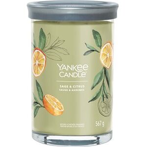 Yankee Candle Raumdüfte Tumbler Sage & Citrus