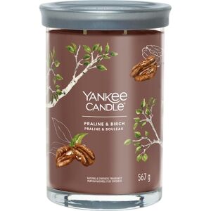 Yankee Candle Raumdüfte Tumbler Praline & Birch