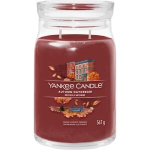 Yankee Candle Raumdüfte Duftkerzen Autumn Daydream