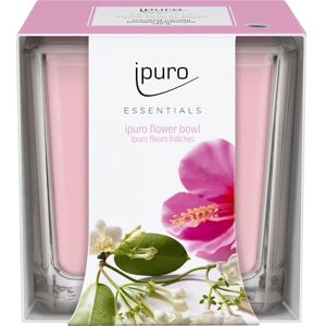 ipuro Raumdüfte Essentials by Ipuro Flower Bowl Candle