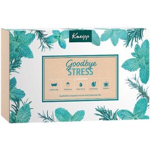 Kneipp Badezusatz Badeöle Goodbye Stress Geschenkset Goodbye Stress Body Lotion 75 ml + Goodbye Stress Wirkdusche 75 ml + Goodbye Stress Badekristalle 60 g + Goodbye Stress Bade-Essenz 20 ml + Goodbye Stress Mini-Kerze 62 g