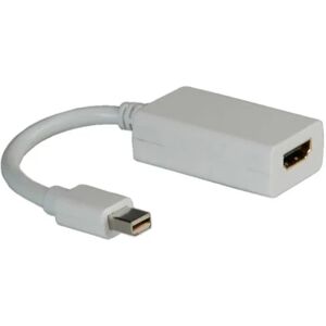 Roline DisplayPort Video-Adapter, 2K, weiss