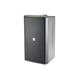 JBL Control 29 AV Kleinlautsprecher passiv, schwarz