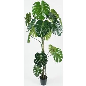 No-Name Monstera, Grøn, 180cm