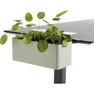Apto Blomsterkasse, Grøn
