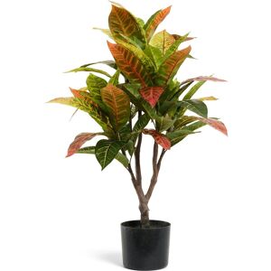 4EverGreen Kroton Træ, 75 Cm