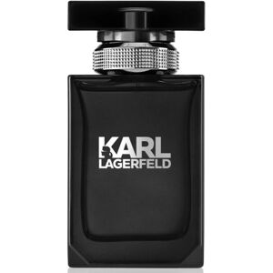 Karl Lagerfeld Pour Homme Edt 100ml