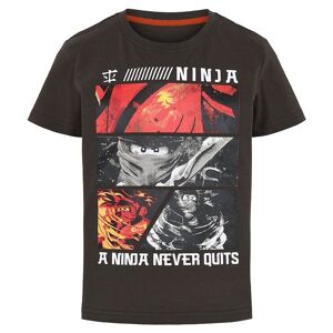 Ninjago T-Shirt - Grå M. Print - Lego® Wear - 2 År (92) - T-Shirt