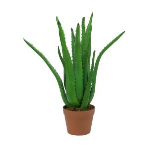 Europalms Aloe Vera Plant, artificial plant, 63cm TILBUD NU plante