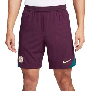 Nike - Pantalón corto PSG Training 2024-2025, Unisex, Bordeaux-Geode Teal-Guava Ice, M