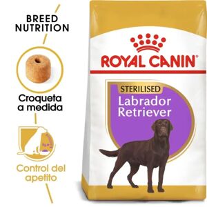 Comida Premium Pienso Perro Royal Canine Adult Sterilised Labrador Retriever 12Kg - ROYALCANIN