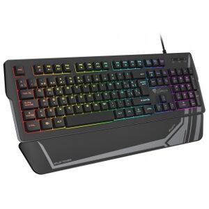 Genesis Rhod 350 RGB teclado USB QWERTY Español Negro