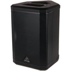 Behringer B1X