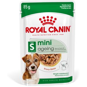 24x85g Mini Ageing 12 + Royal Canin en salsa comida húmeda para perros