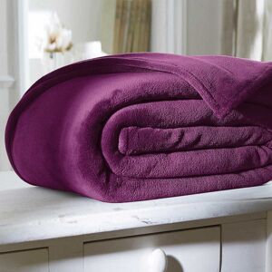 Couverture microfibre - BlancheporteUne couverture microfibre toucher peluche douce comme un câlin...Couverture 2 personnes : 220x240 cmViolet