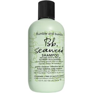 Bumble and bumble Seaweed Shampoo Seaweed