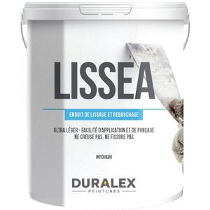 Enduit acrylique lissage et rebouchage 1kg - DURALEX - 101100303
