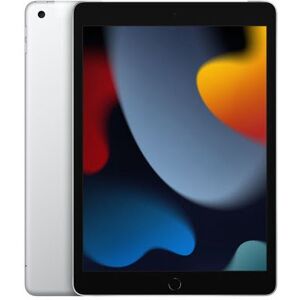 Apple iPad Wi-Fi Cl 256GB Silver