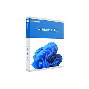 Microsoft Windows 11 PRO (OEM Activation FQC-10428)