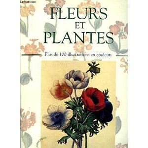 Lys De Bray Fleurs Et Plantes