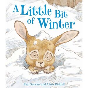 Paul Stewart A Little Bit Of Winter (Rabbit And Hedgehog, Band 7)