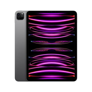 Apple iPad Pro (2022) 11" 128Go Wi-Fi Gris Sidéral