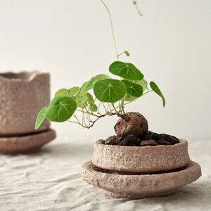 Aucun Pot de Plante Verte Faite à la Main avec Plateau, Poterie Rouge en Céramique, Motif Marteau Rétro