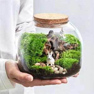 BenRussell Micro paysage mousse Bryophyte Vase en verre avec liège vert frais mousse bouteille Terrarium en verre créatif hydroponique plante conteneur