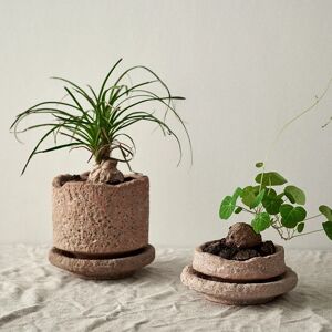 Aucun Bassin en céramique fait à la main, motif de marteau rétro, plante verte de bureau, petit Pot avec plateau, Pot de fleur en céramique rouge