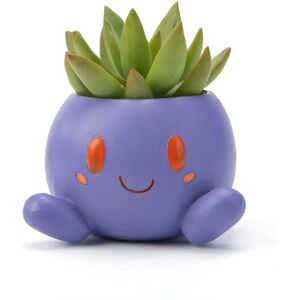 Aucun Jardinière étrange Pot de fleur étrange Pot de fleur succulente Pot de plante planteur