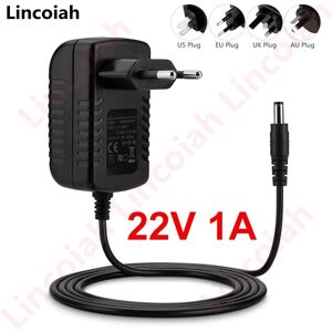 Lincoiah Adaptateur d'alimentation 22V 1A 1000mA AC/DC, chargeur pour aspirateur, prise DC 5.5x2.5mm