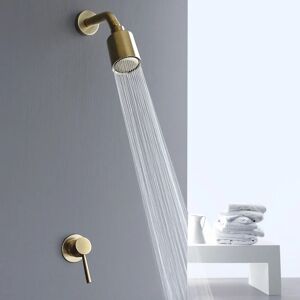 Aucun Pommeau de douche en laiton doré, brosse haute pression, fonction unique, pomme de douche à effet de