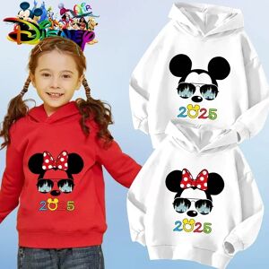 Mode Disneyland voyage vacances vêtements Caricature sweat à capuche enfants haut dessins animés