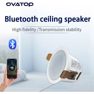 YINLEENCL BS005D Mini 8ohm haute qualité professionnel Surround son Bluetooth haut-parleurs système de maison intelligente haut-parleurs haut-parleur de plafond