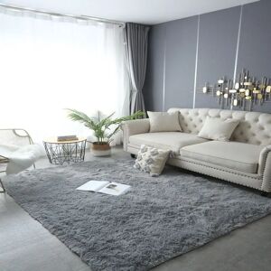 VIKAMA tapis gris pour salon tapis en peluche chambre tapis moelleux anti-dérapant décor à la maison tapis doux velours tapis chambre d'enfants couverture