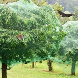 Aucun Filets à oiseaux verts pour protéger les plantes, Fruits, légumes, fleurs, plantes, arbres, clôtures, étangs, filets durables pour prévenir les oiseaux, les cerfs et les animaux