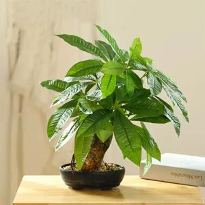 Kmitang Arbre Monstera artificiel en pot, 43cm, fausses plantes tropicales d'argent, bonsaï, arbre vert, feuilles en plastique vertes pour décoration de jardin de maison