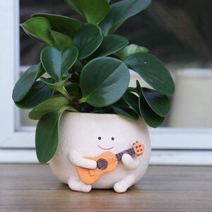 Aucun Pot de user inière avec Trou de Proximité, Visage Smily, Résine Mignonne pour Chaîne de Plantes, Pots Succulents Uniques pour l'Intérieur