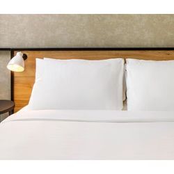 ibis Store Oreiller plumes et duvet