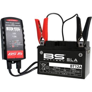 BS Battery Chargeur de batterie intelligent BS15 taille :