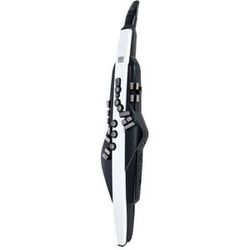 Roland Aerophone AE-20