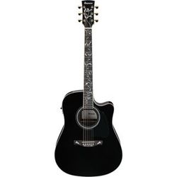 Ibanez AW391RCE-BKH noir haute brillance