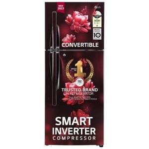 LG 260 Litres 2 Star Frost Free Double Door Refrigerator with Smart Inverter Compressor, Auto Smart Connect (GL-S292RSCY, Scarlet Charm)