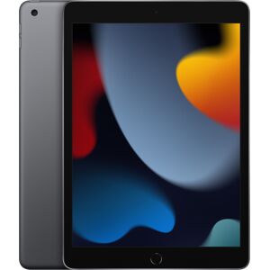 Apple iPad 9th Generation Wi-Fi (10.2 Inch, 256GB, Space Grey, 2021 model) MK2N3HN/A