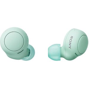 Sony WF-C500 Truly Wireless Earbuds with Easier clearer Hands-Free Calling, IPX4 Water Resistance Rating (Green)