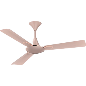 Crompton Prem Aura2 Prime Antidust Ceiling Fan with 1200 mm, 3 Blades, 225 CMM Air Delivery (CFPRAU2PM48RGDAD1S)