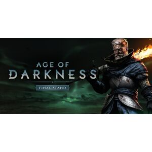 Age Of Darkness Final Stand (PC)