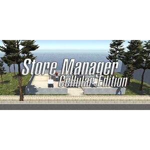 Store Manager (PC)