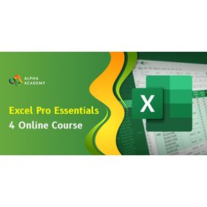Excel Pro Essentials 4 Online Course